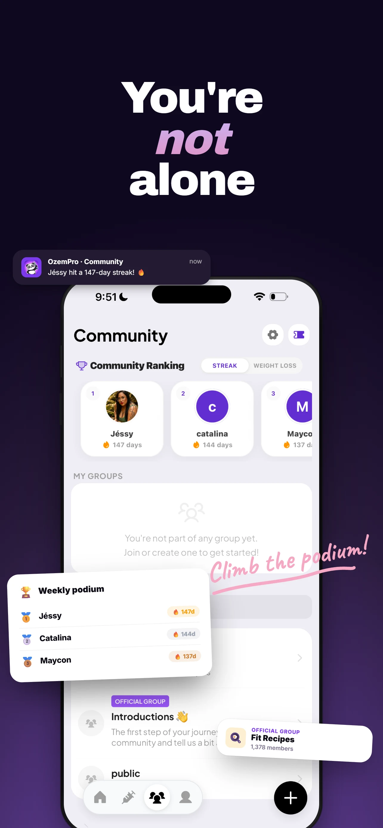 OzemPro screenshot